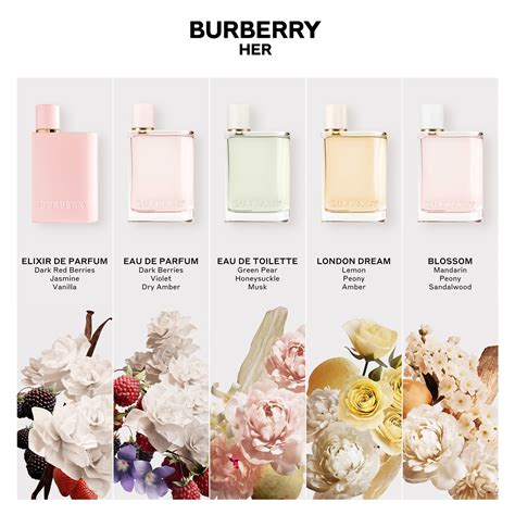 perfumes burberry her|Burberry perfume women her.